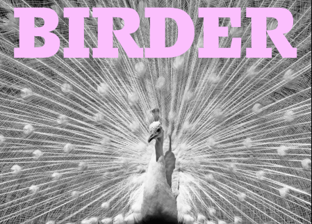 Birder Magazine