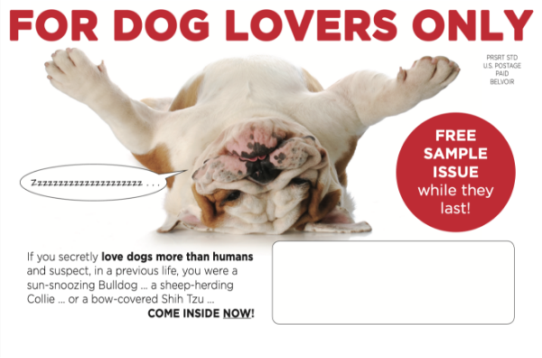 Dogster-Direct-Mail-Control-Copywriter-JCManheimer